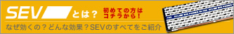 SEV�Ƃ́H