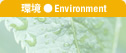 ���@Environment